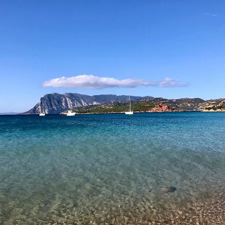 Апартаменти Marina Butterfly *