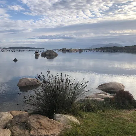 Апартаменти Marina Butterfly *