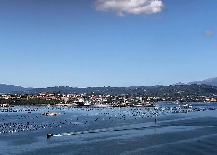 Apartamento Marina Butterfly Olbia