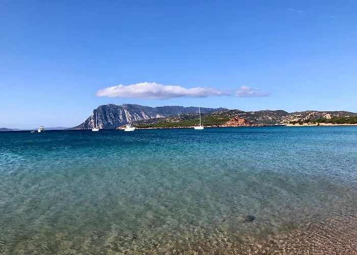 Appartement Marina Butterfly *