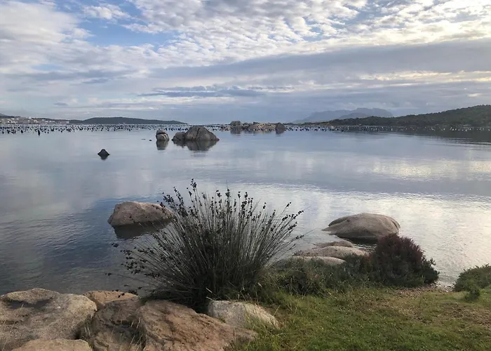 Appartement Marina Butterfly *